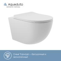 Унитаз Aqueduto OVO Tornado OVOT2120 подвесной, безободковый, смыв Торнадо, сиденье с микролифтом, 52.5х36 см, белый матовый