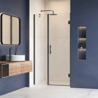 Душевая дверь в нишу RGW Hotel HO-012-B 900х1950 профиль черный, стекло прозрачное