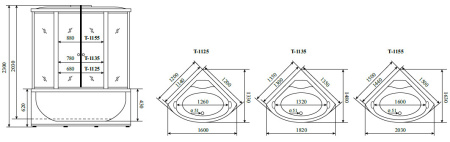 душевая кабина timo standart silver f t-6625sf 125х125
