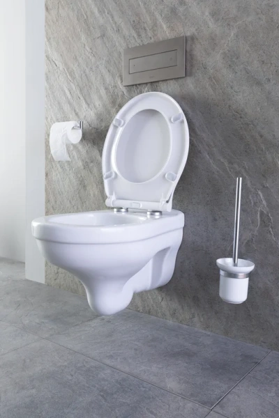 Ёршик для унитаза Allen Brau Priority 6.31008-00 настенный, хром