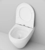 подвесной унитаз с инсталляцией am.pm spirit flashclean is30201.701700 с сиденьем микролифт и белой клавишей смыва