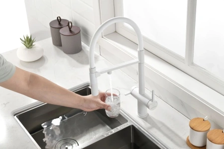 смеситель для кухни с подключением к фильтру paulmark gravity gr213888-wh